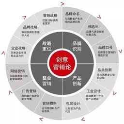 揭开流量的面纱 探索互联网营销的独特魅力与内核